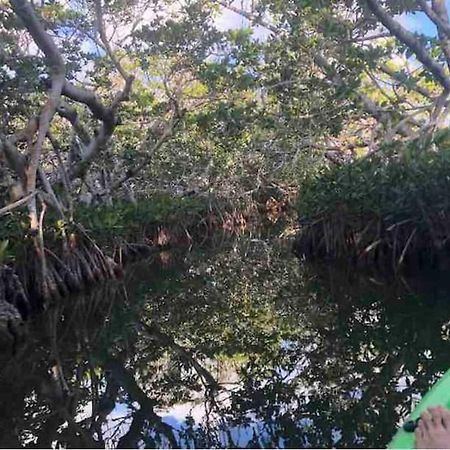 Tiny Home On Waterfront, Bay Views, Deck, Pool Jewfish Rom bilde
