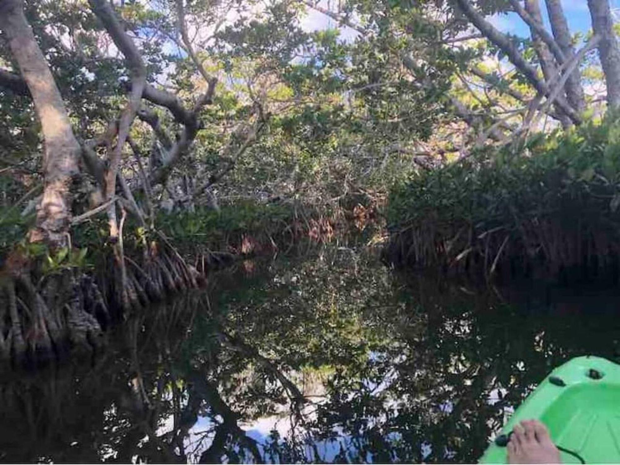 Tiny Home On Waterfront, Bay Views, Deck, Pool Jewfish Rom bilde